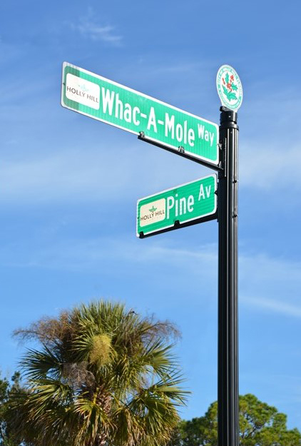 Whac-A-Mole Way road sign in Holly Hill.