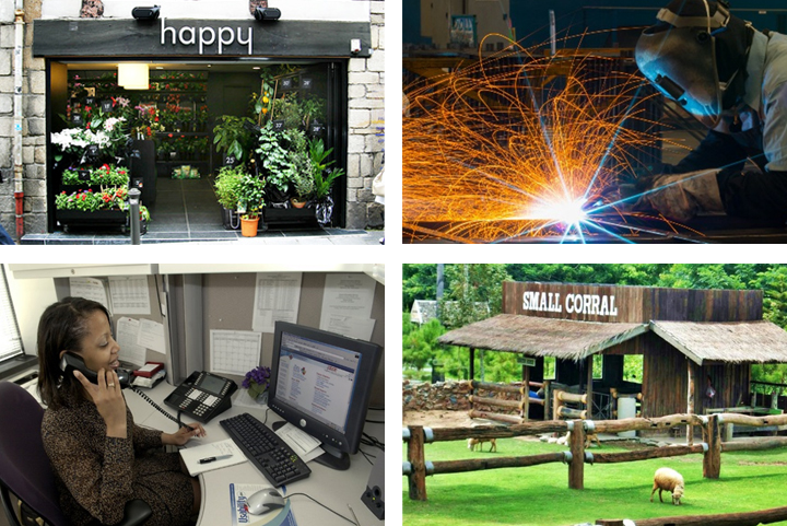 Collage of different types of businesses ready to expand