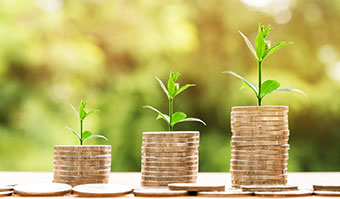 Block of coins with a plant growing of them